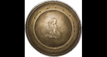 RUBIES NL - Plastic Wonder Woman schild voor volwassenen