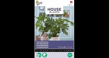 Buzzy® House Plants Philodendron Selluom