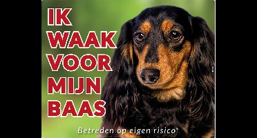 Teckel Langhaar Waakbord - Ik waak voor mijn Baas