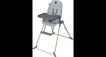 Maxi-Cosi Ava - Kinderstoel - Beyond Grey - Vanaf de geboorte tot 3 jaar oud