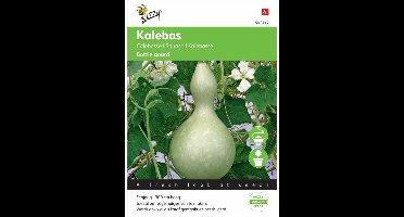 Buzzy® Lageneria siceraria - Bottle Gourd