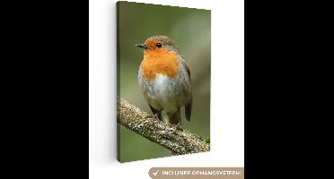 OneMillionCanvasses - Canvas schilderij - Vogel - Roodborstje - Tak - Planten - Schilderijen op canvas - Foto op canvas - 40x60 cm - Slaapkamer