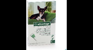 Bayer Anti vlooienmiddel Advantage 40 1 - 4 kg - 4 pipetten