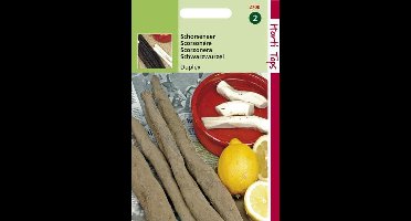 Hortitops Zaden - Schorseneren Duplex