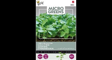 Buzzy® Microgreens, Citroenbasilicum - Frisse en citroenachtige smaak, perfect voor salades en decoratie