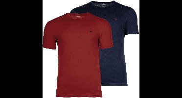 Emporio Armani T-shirt ENDURANCE Set van 2