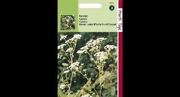 Hortitops Zaden - Komijn