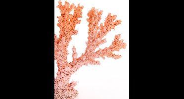 Light & Living - Ornament CORAL - 34.5x9.7x25cm - Oranje