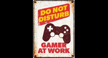Plenty Gifts Waakbord Gamer 21 X 14,8 X 2 Cm Staal