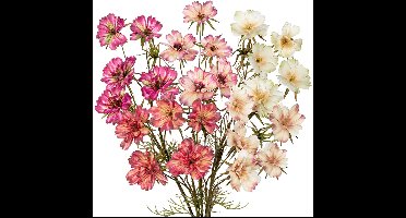 Boraboi ® Elegant Kunstbloem Boeket van 5 Stuks voor Tijdloze Interieurdecoratie