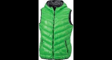 James and Nicholson Dames/dames in het Vest (Groen/koolstof Grijs)