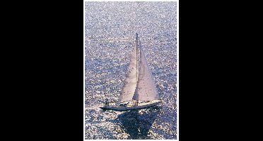 Kunstdruk Ingrid Abery - Silver Sea I 50x70cm