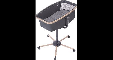 Maxi-Cosi Alba - Kinderstoel - Beyond Graphite - Vanaf de geboorte tot ca. 3 jaar