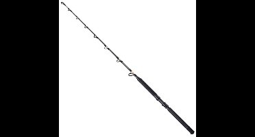 Shimano Fishing Tld B Stand Up Trollinghengel Zilver 1.65 m / 30 Lbs