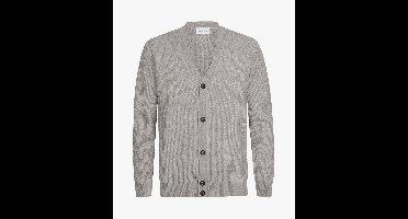 Profuomo Vest Grey PPXJ30035A