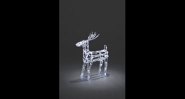 Konstsmide - LED rendier 56x67cm 24V 64x - koelwit