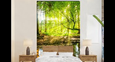 Behang - Fotobehang Bos - Landschap - Water - Bomen - Zon - Groen - Natuur - Breedte 145 cm x hoogte 220 cm