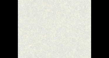 METALLIC BEHANG | Basic - licht grijs - A.S. Création Versace 3