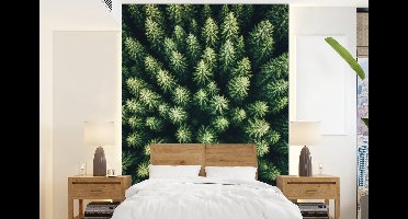 Behang - Fotobehang Bomen - Naaldwoud - Structuur - Breedte 160 cm x hoogte 220 cm
