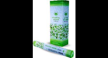 Wierook Delightful Jasmine 120st