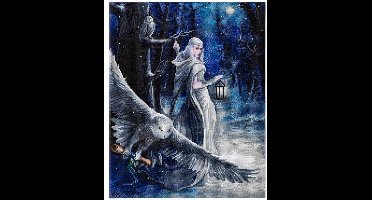 Diamond Painting Crystal Art Kit ® Midnight Messenger, 40x50 cm, partial painting