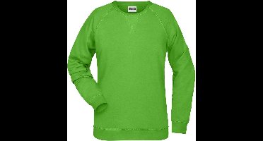 James and Nicholson Dames/dames Raglan Sweatshirt met lange mouwen (Kalk groen)
