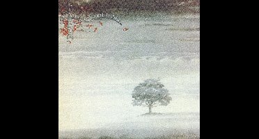 Wind & Wuthering