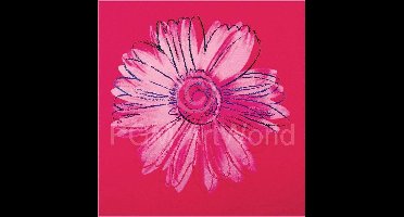 Kunstdruk Andy Warhol - Daisy 1982 90x90cm