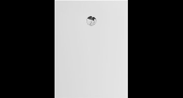 Allibert Karbon douchebak rechthoek Mat Wit-120 x 90 2,6 cm