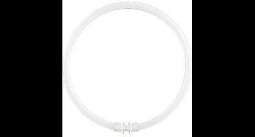 Schiefer 2GX13 T5 TL-Buis | 40W 3000K 2500lm 830 | 305mm