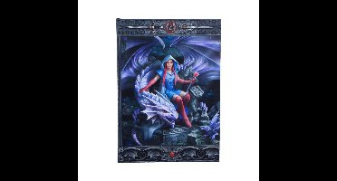 Nemesis Now - Dragon Mage (AS) 17cm Notitieboek - Multicolours