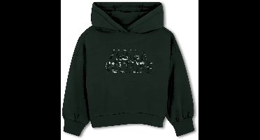 Zadig & Voltaire X60801 Hoodie Groen 6 Years Meisje