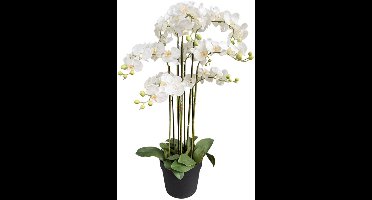 Orchidee wit in pot H 110 cm kunstplant Oosterik Home