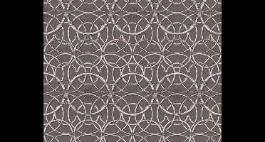 KLASSIEK MODERN BEHANG - Zilver Grijs - AS Creation Versace 4