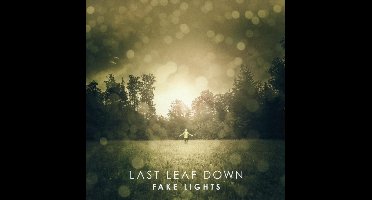 Fake Lights