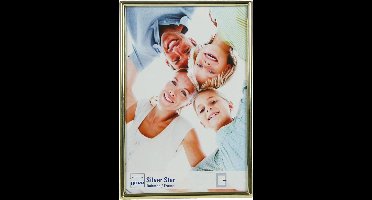 Dörr 803198 fotolijst Goud Enkele fotolijst