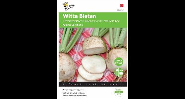Buzzy® Bieten Albina Vereduna wit