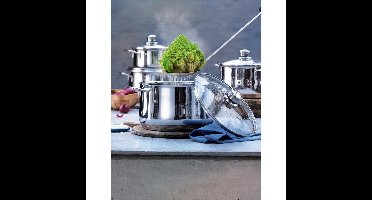 WMF Diadem Plus Kookpan Hoog  - Ø 16 cm - RVS