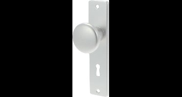 Ami Kastknopschild Sl56 Aluminium F1 312112