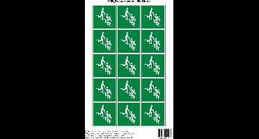 Pictogram sticker E060 Evacuatiestoel - 50x50mm 15 stickers op 1 vel