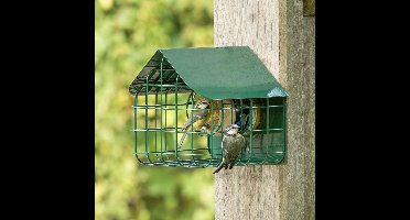 CJ Wildlife Pindakaaspothouder voor Vogels - Waterford - Vogelpindakaas Houder met Beschermkooi - Vogelvoederhuisje Pindakaas - Houder voor 1 pot - Groen