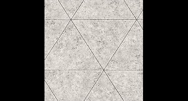 Restored Polished Concrete grijs behang (vliesbehang, grijs)