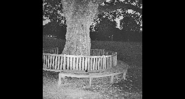 A New Place 2 Drown