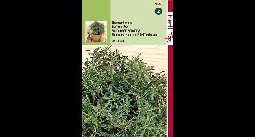 Hortitops Zaden - Bonenkruid Eenjarig