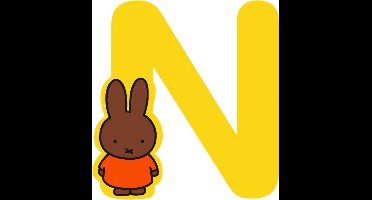 Nijntje Letter 8cm - N