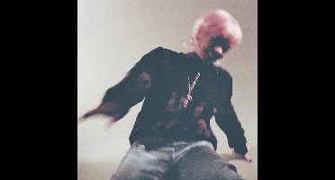 Lily Allen - No Shame
