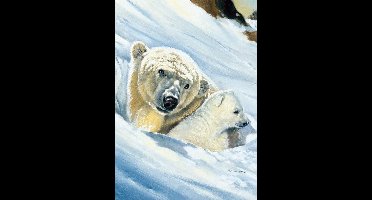 Kunstdruk Renato Casaro - Eisbär-Mama 50x70cm