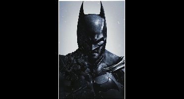 Poster Batman - Arkham Origins 61x91,5cm