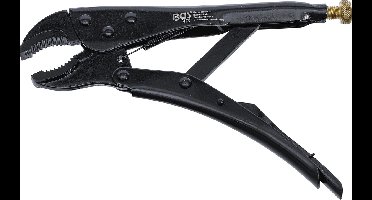 BGS - Griptang - 225mm - Zwart - Meer grip voor het betere werk - BGS485