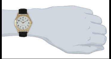 Q&Q heren horloge goudkleurig C168J104Y